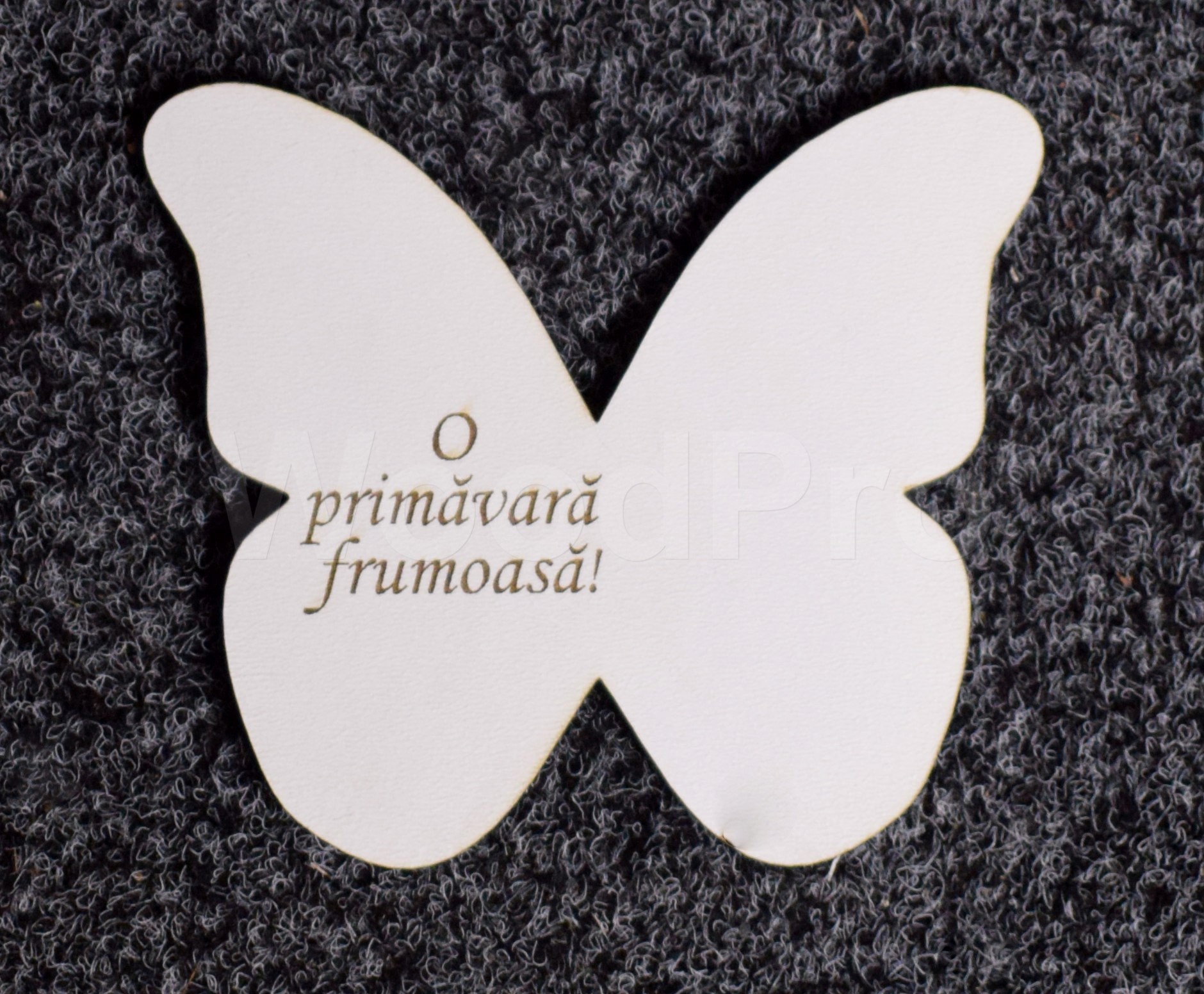 Fluturas gravat